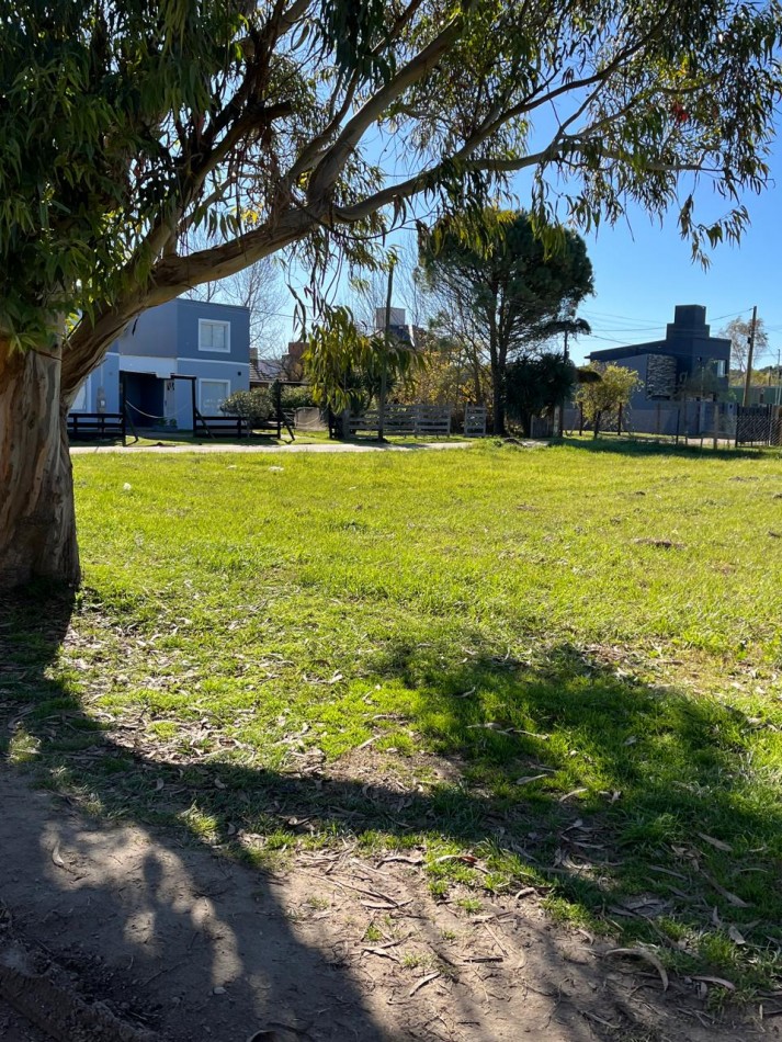 Lote Calle Principal de Camet Norte