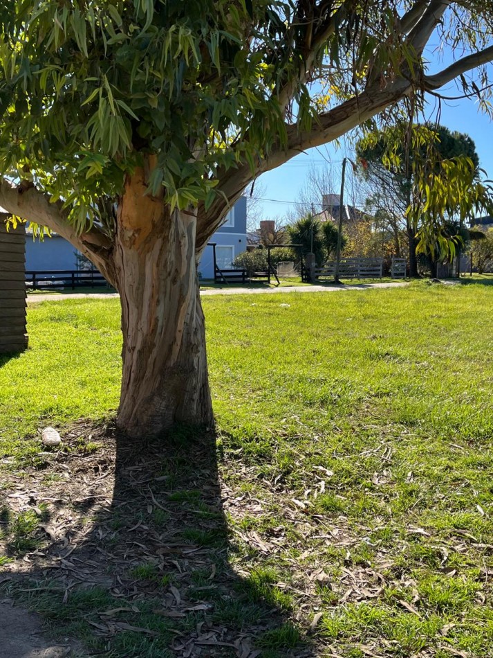 Lote Calle Principal de Camet Norte