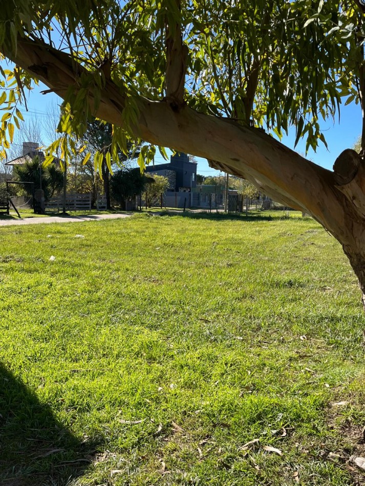 Lote Calle Principal de Camet Norte