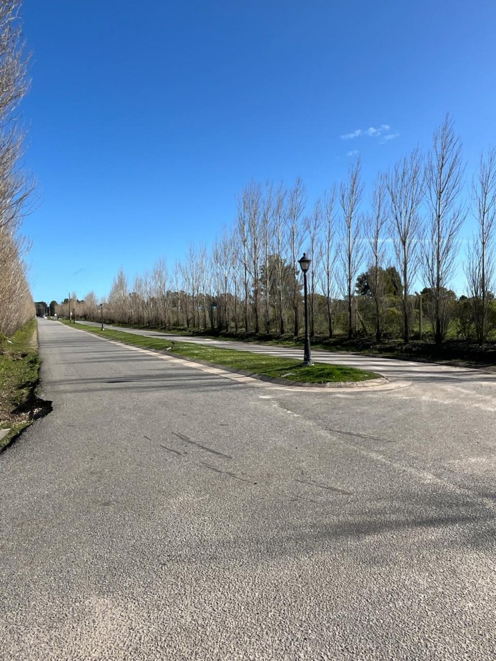 Lote en Las Prunas