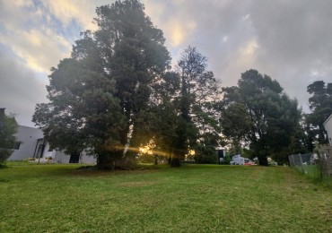 Lote N 42 en el Exclusivo en Las Prunas