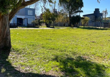 Lote Calle Principal de Camet Norte