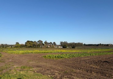 ¡OPORTUNIDAD DE INVERSION! Excelente Campo de 8 Hectareas en Batan, con Riego